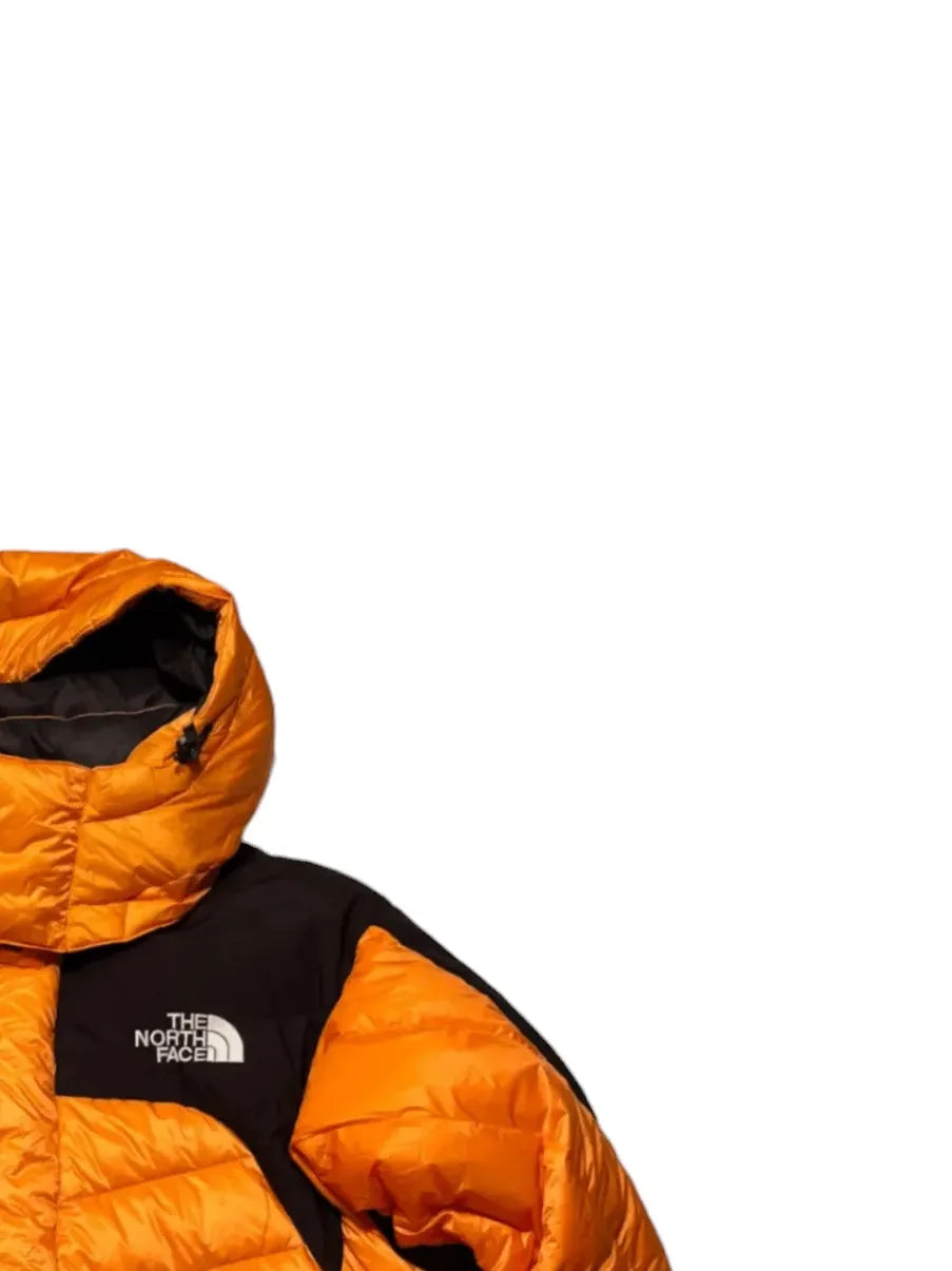 Vintage TNF Summit Series Jacket Top Right